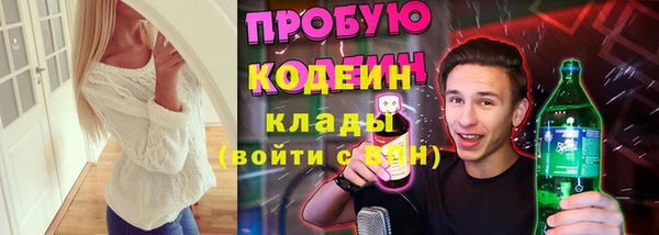 apvp Гусь-Хрустальный