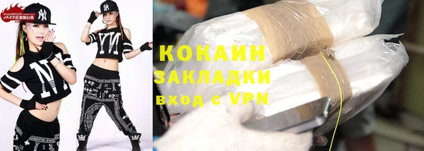 ешки Гусев