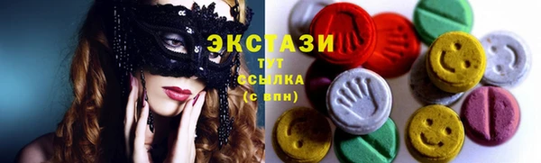 гашик Дмитровск