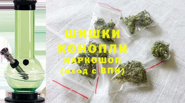 apvp Гусь-Хрустальный