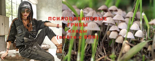 ешки Гусев