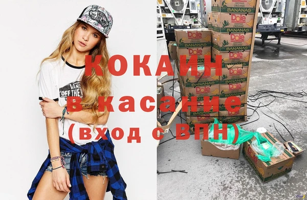 ешки Гусев