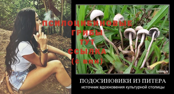 ешки Гусев
