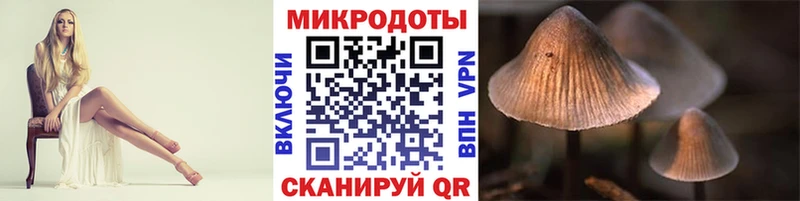 Купить закладки  Покровск  Псилоцибиновые грибы Cubensis 